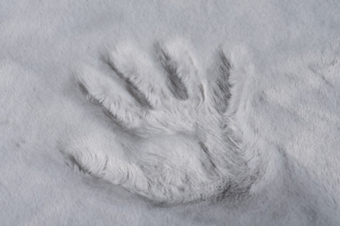 DYWAN PLUSZOWY Przyjemna miękkość i jednobarwne kolory, to największe atuty dywanów z kolekcji MIŚ. Idealnie pasują zarówno do salonu, przedpokoju czy też sypialni ORAZ DLA DZIECI!

#wystrójwnętrz #projektantwnetrz #polskiewnetrza #urzadzamy
#architekturawnetrz #aranzacjawnetrz #projektwnetrz
#architektwnetrz #wystrój #wnetrzazesmakiem #polskidesign
#mojemiejsce #polskiewnetrza #interiordecorater #sweetinterior91 #luxuryinteriordecorating #archinterior
#interioreschic #interiorshoot #interior101 #lovely_interiors
#interiorproducts #interiorpic #interiorscape #interiorinsta #houseinteriors
#decoraciondeinterior #interior1234 #interiordesgn #homeinterior4all - Rugito - Daj się zainspirować